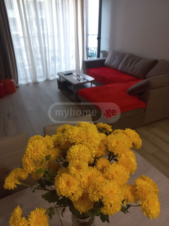 2 Room Apartment Daily Rent In Saburtalo view 1