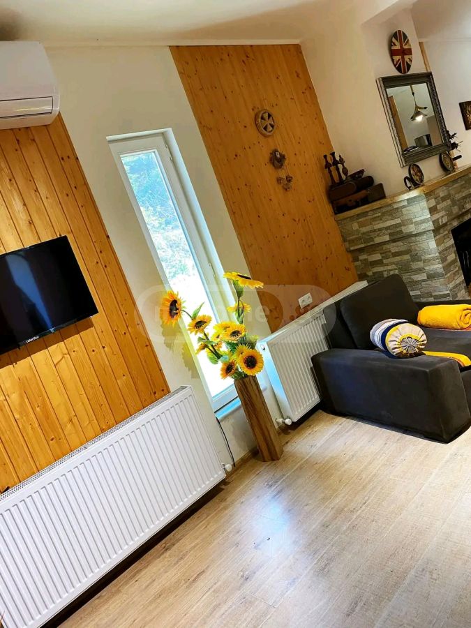დღიური ქირა 4-ოთახი აგარაკი Tqibulshiში view 5