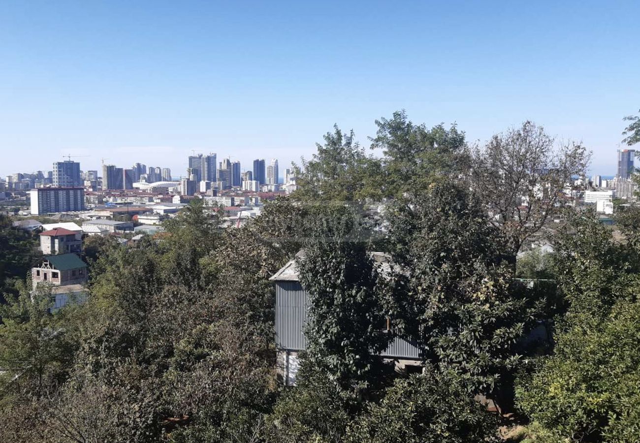 For Sale Sasoplo-Sameurneo Land Plot In Batumi view 1