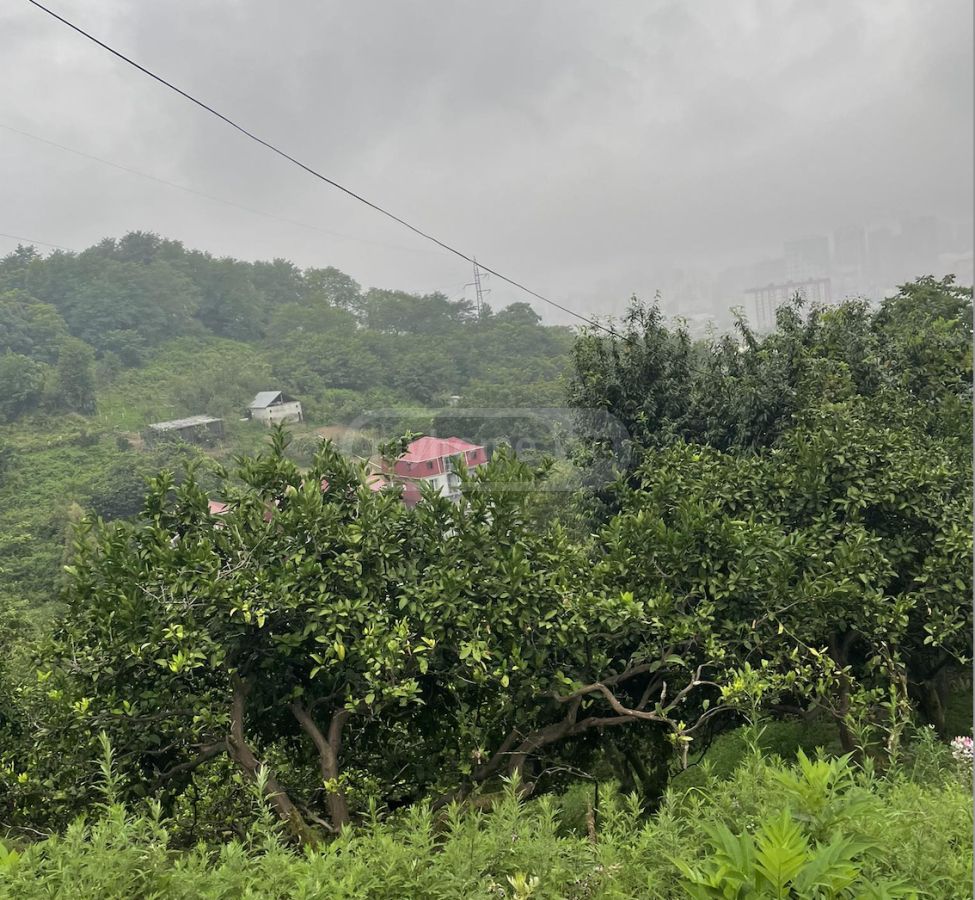 For Sale Sasoplo-Sameurneo Land Plot In Batumi view 3