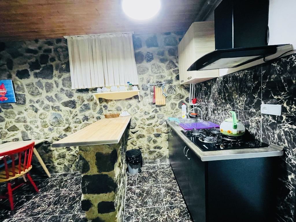 Daily Rent 2 Room Sastumro Borjomshi view 3