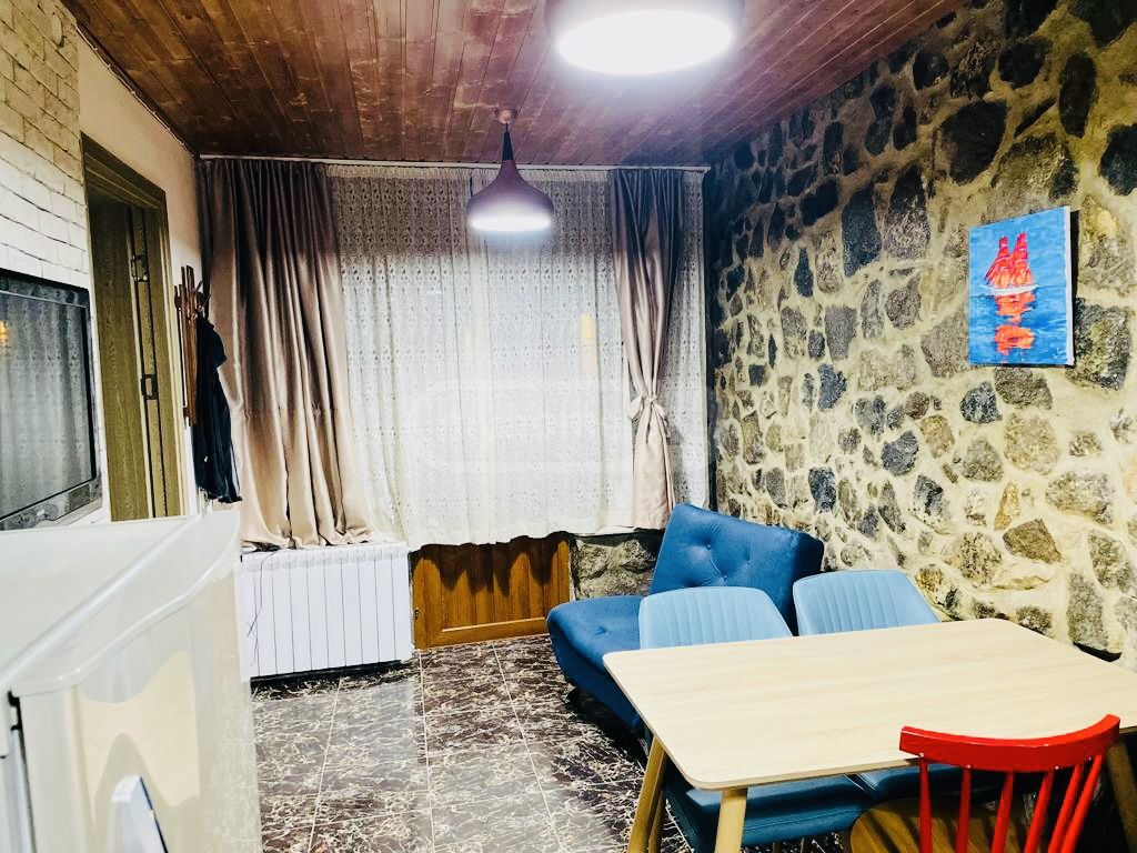Daily Rent 2 Room Sastumro Borjomshi view 5
