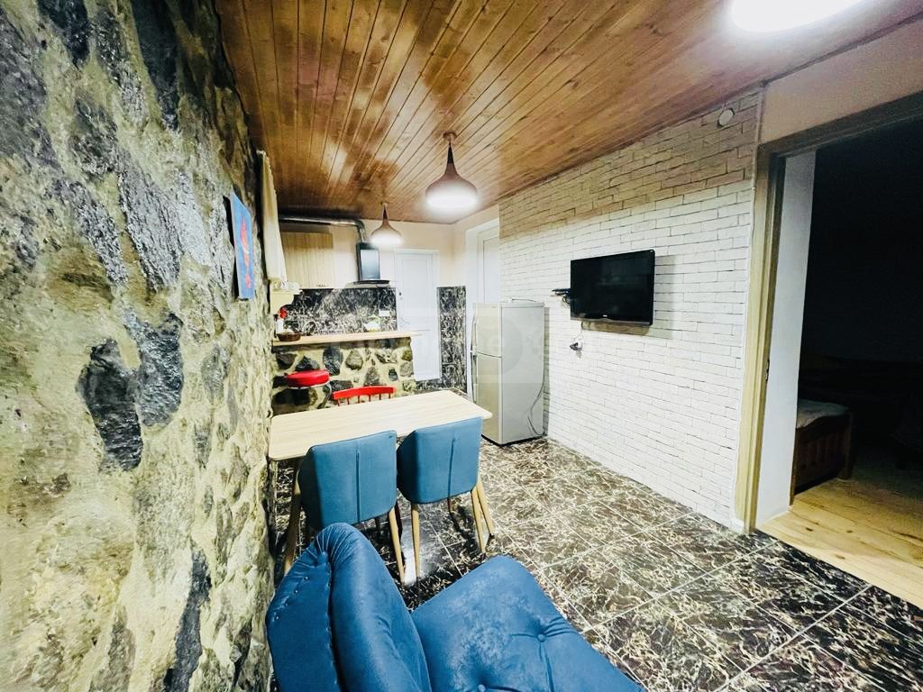 Daily Rent 2 Room Sastumro Borjomshi view 6