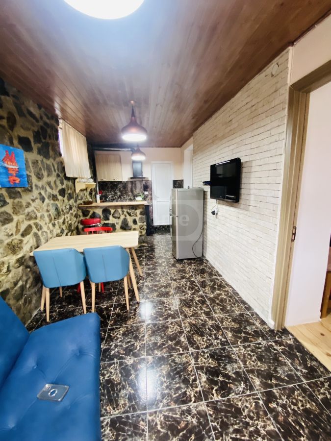 Daily Rent 2 Room Sastumro Borjomshi view 7