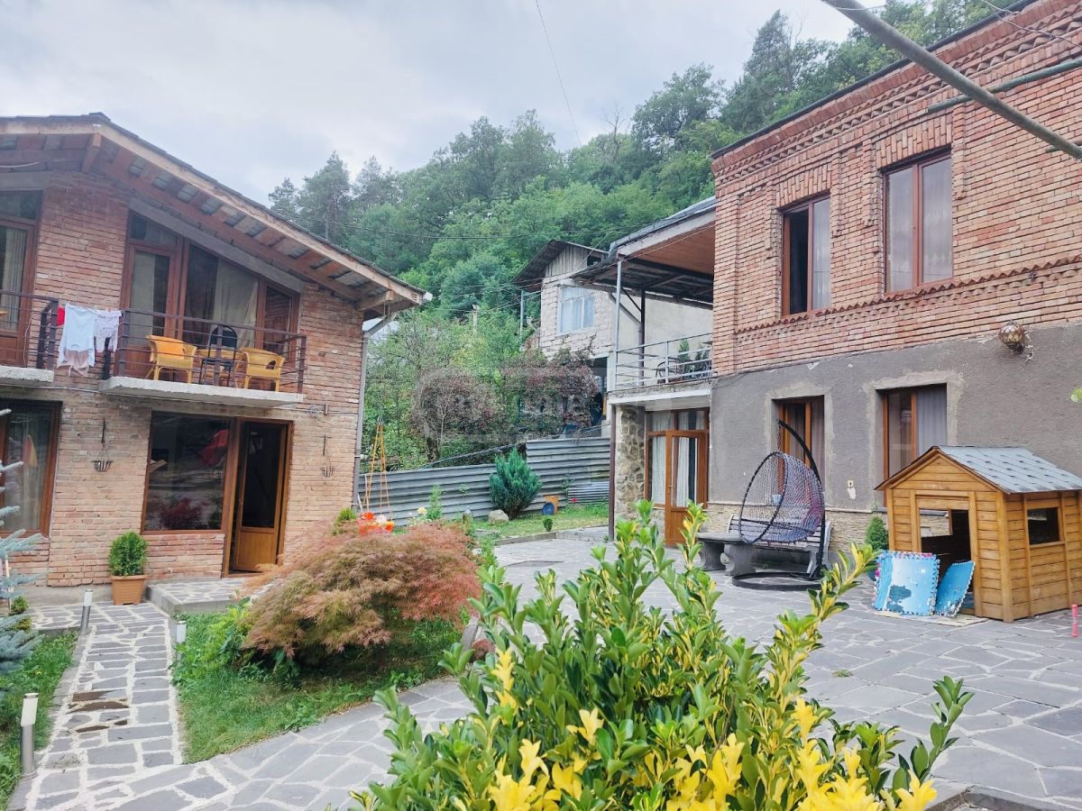 Daily Rent 2 Room Sastumro Borjomshi view 9