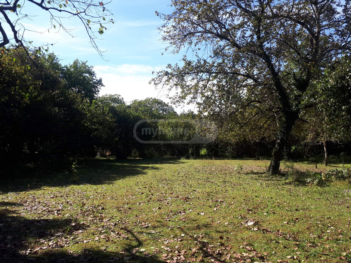 Продажа Agricultural Plot в In Ozurgeti view 10