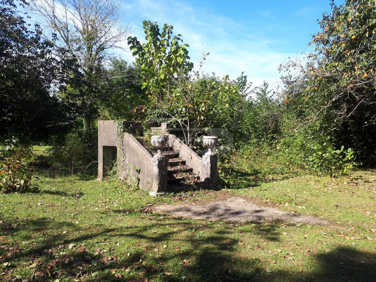 Продажа Agricultural Plot в In Ozurgeti view 11