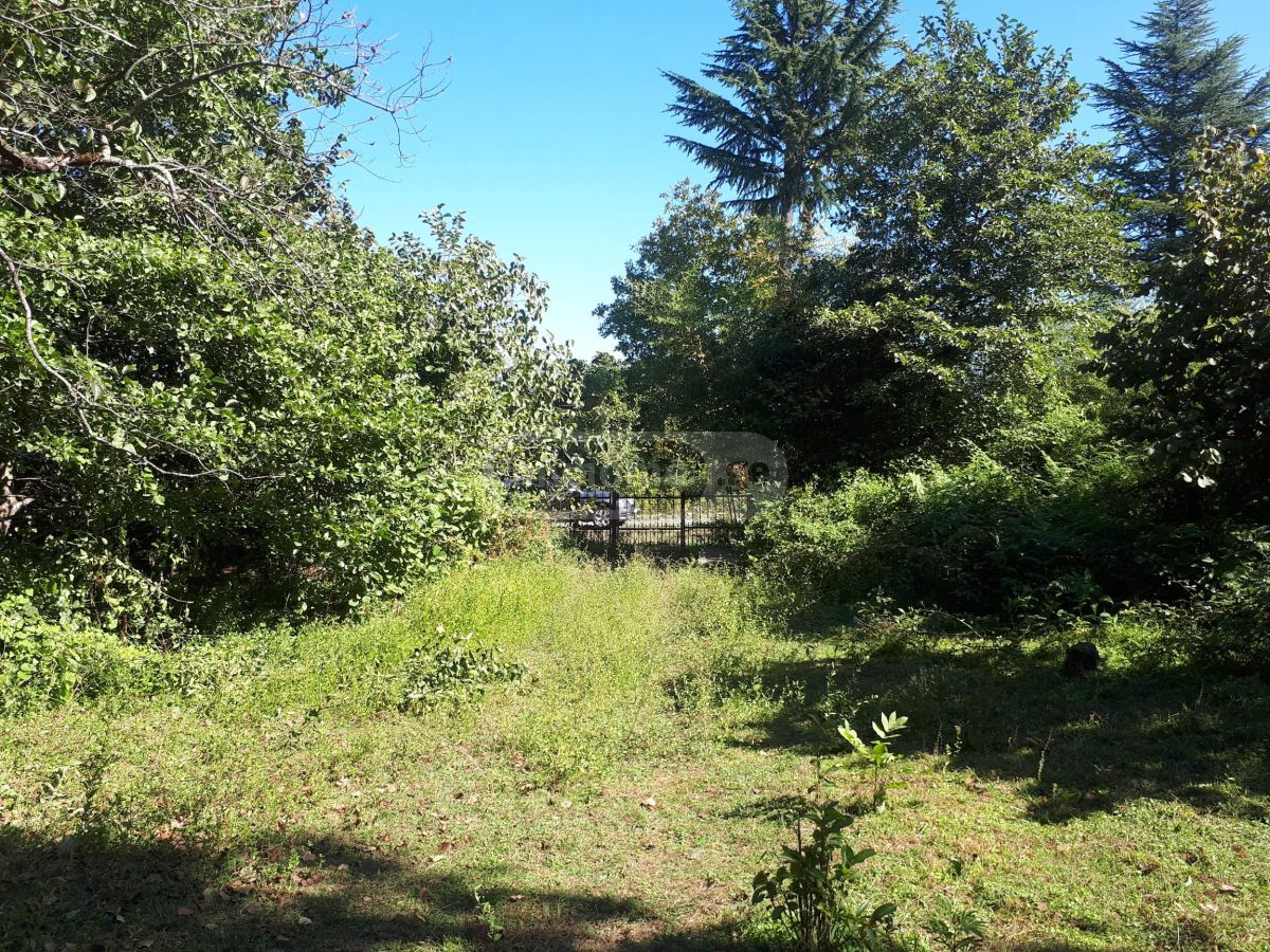 Продажа Agricultural Plot в In Ozurgeti view 12
