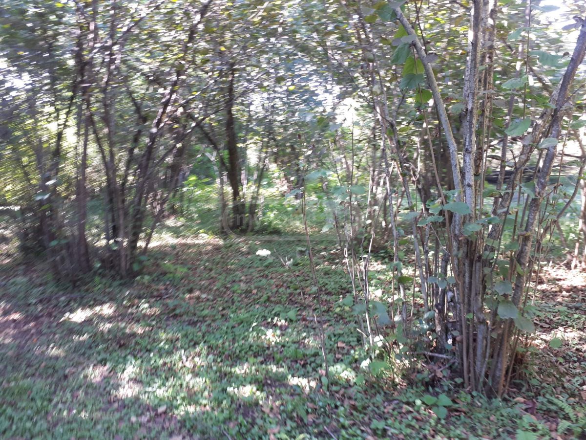 Продажа Agricultural Plot в In Ozurgeti view 5