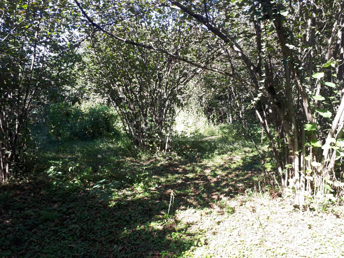 Продажа Agricultural Plot в In Ozurgeti view 6