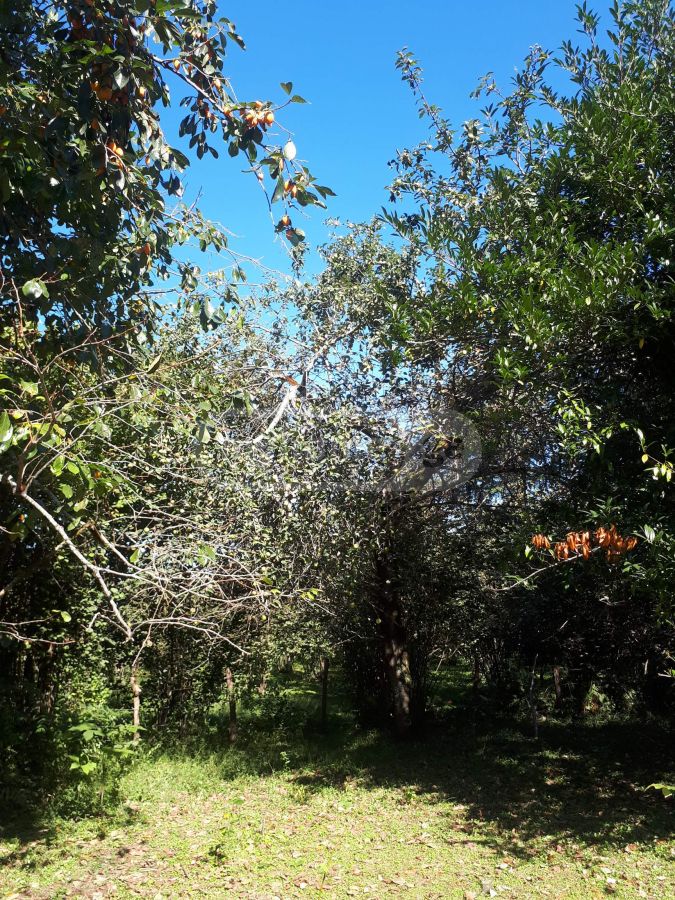 Продажа Agricultural Plot в In Ozurgeti view 8