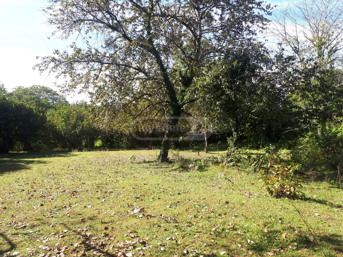 Продажа Agricultural Plot в In Ozurgeti view 9