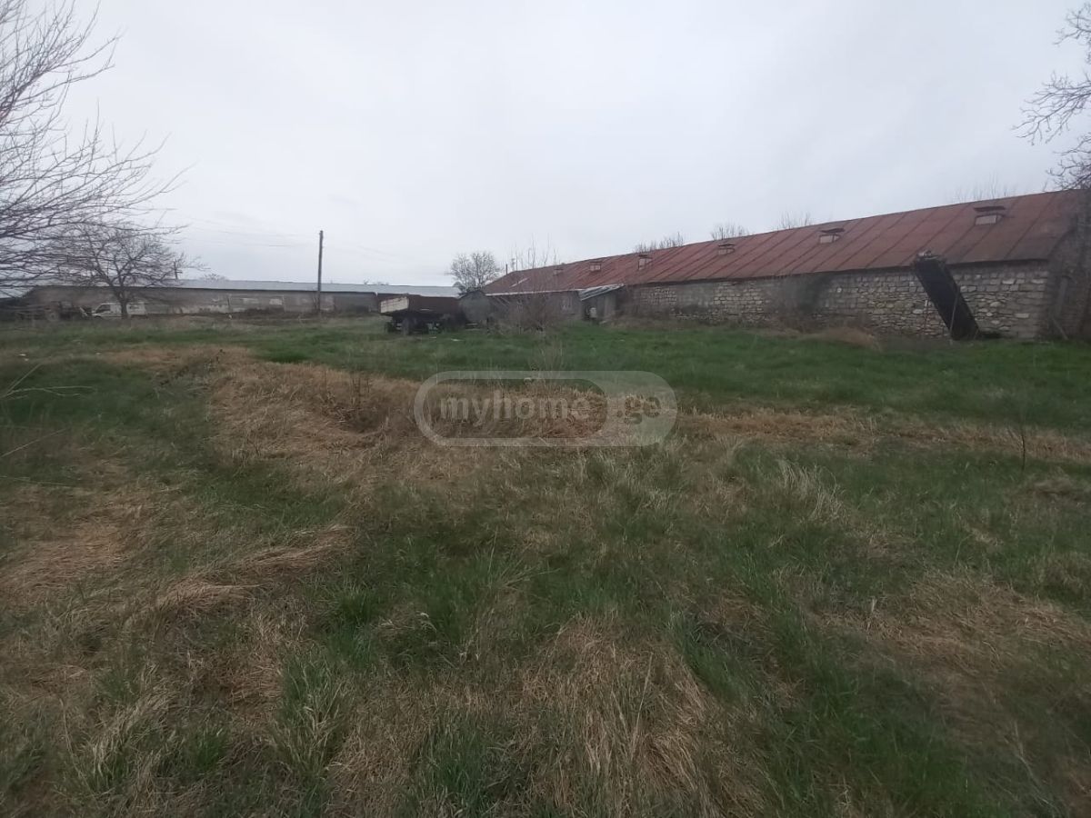 Special Commercial Area For Sale In Akhmeta view 10