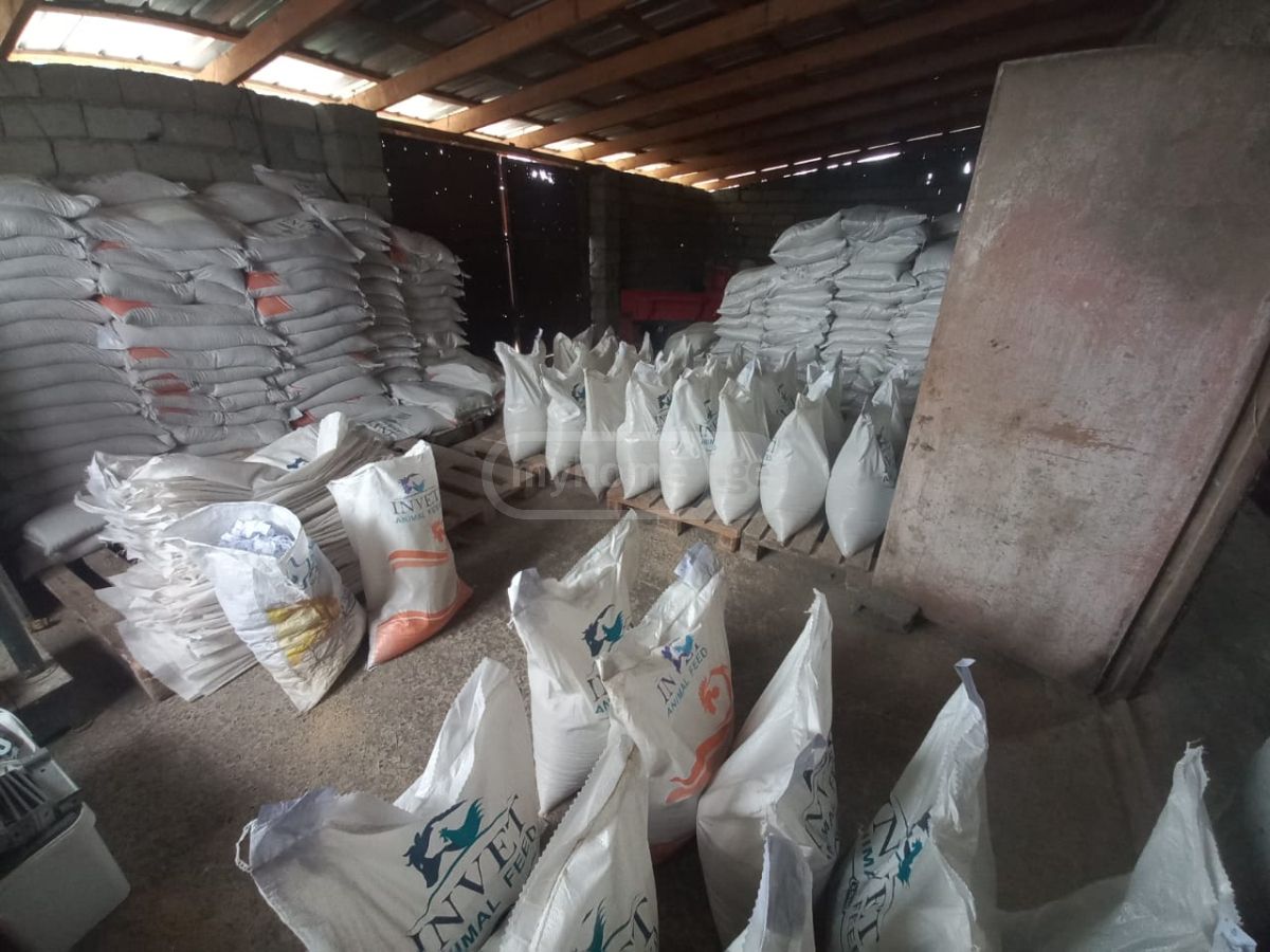 Special Commercial Area For Sale In Akhmeta view 3