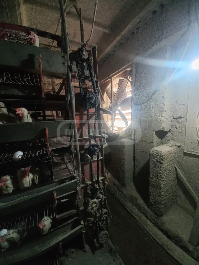 Special Commercial Area For Sale In Akhmeta view 4