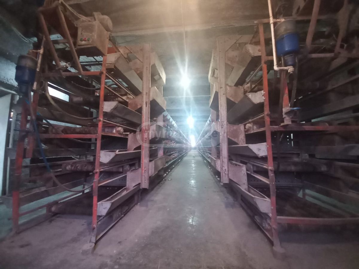 Special Commercial Area For Sale In Akhmeta view 6