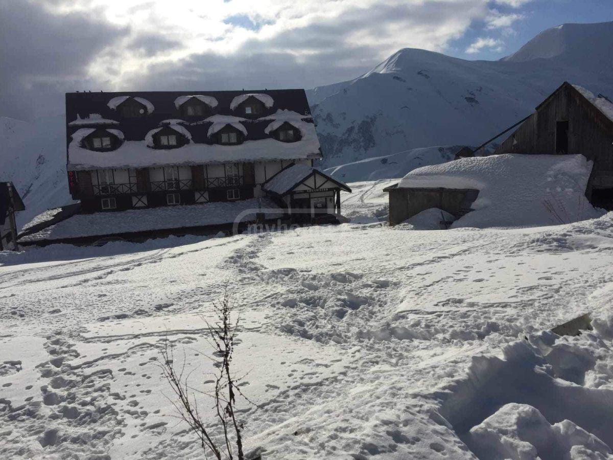 Agricultural Plot For Sale In Gudauri view 1