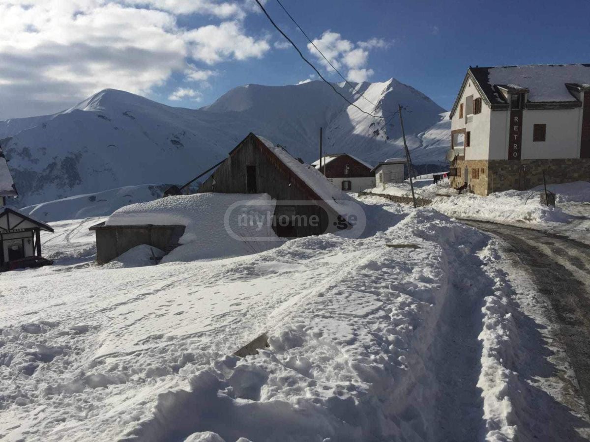 Agricultural Plot For Sale In Gudauri view 3
