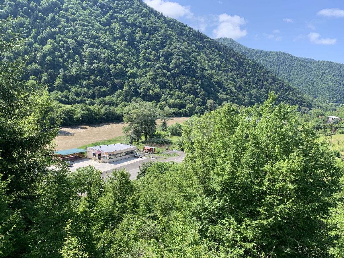 Non-Agricultural Plot For Sale In Borjomi view 3