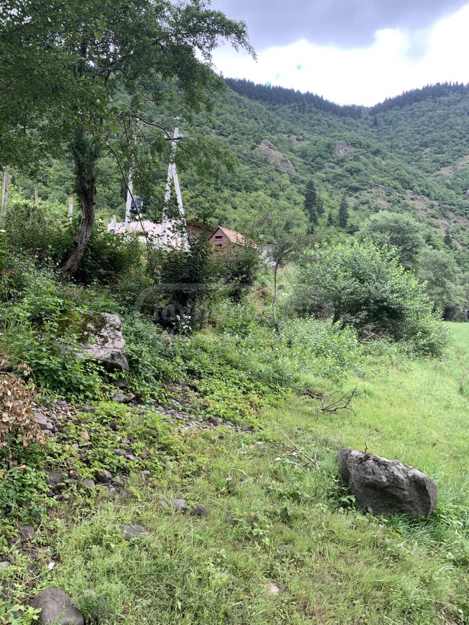 Non-Agricultural Plot For Sale In Borjomi view 5