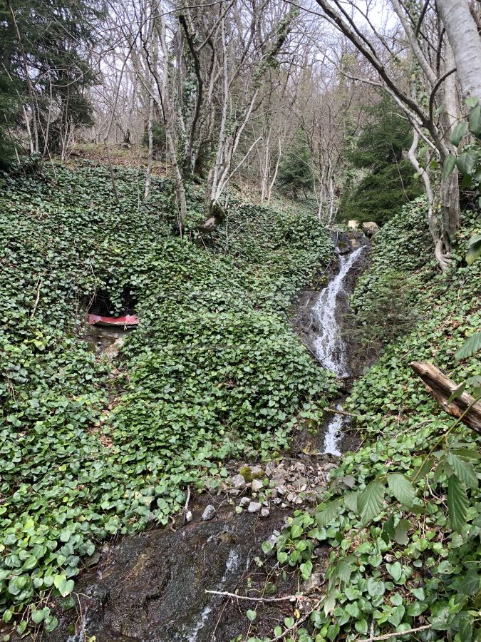 Non-Agricultural Plot For Sale In Borjomi view 6