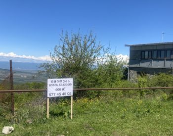 Agricultural plot for sale in betania