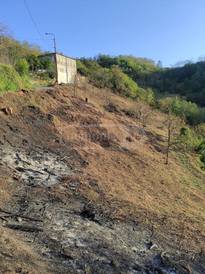 For Sale Sasoplo-Sameurneo Land Plot In Batumi, 2 of 5