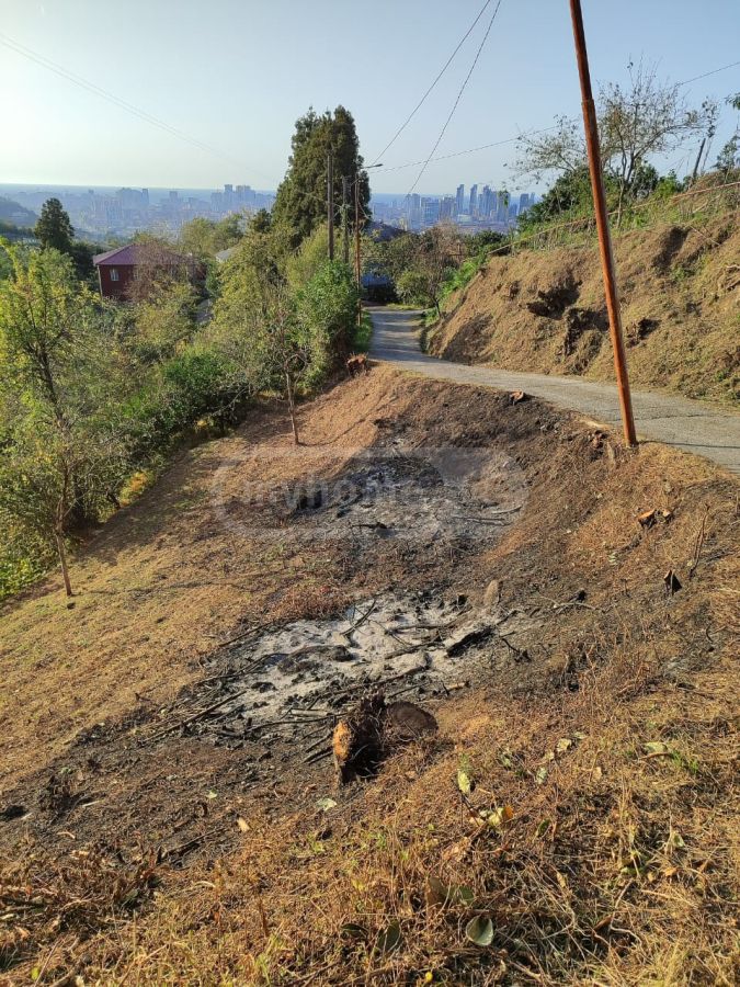 For Sale Sasoplo-Sameurneo Land Plot In Batumi, 3 of 5