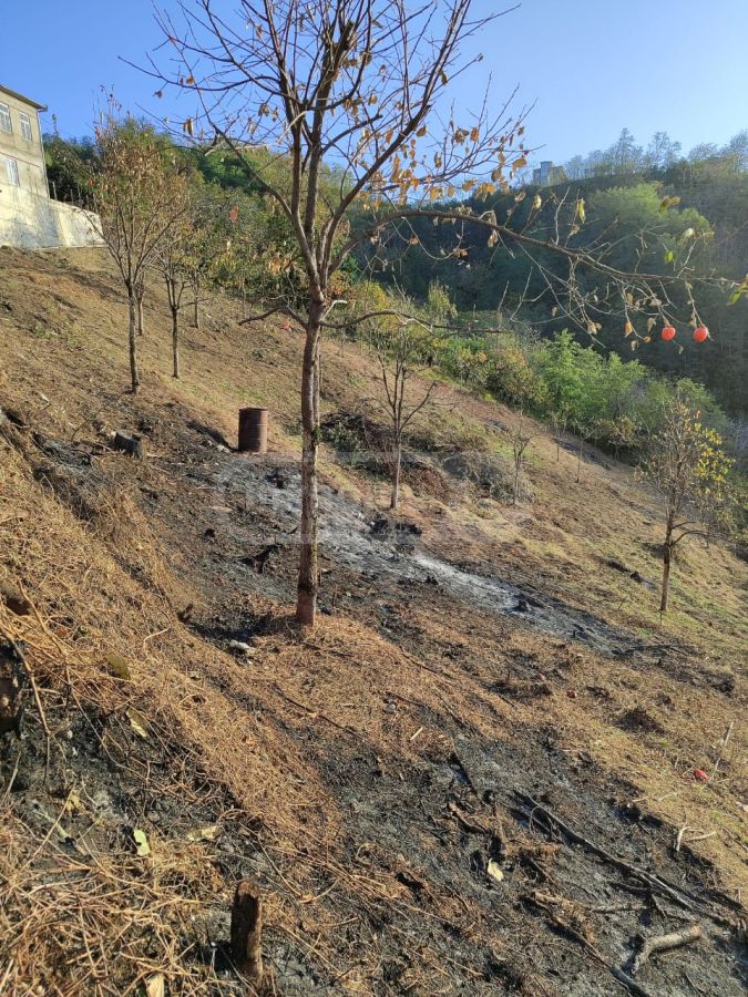 For Sale Sasoplo-Sameurneo Land Plot In Batumi, 4 of 5