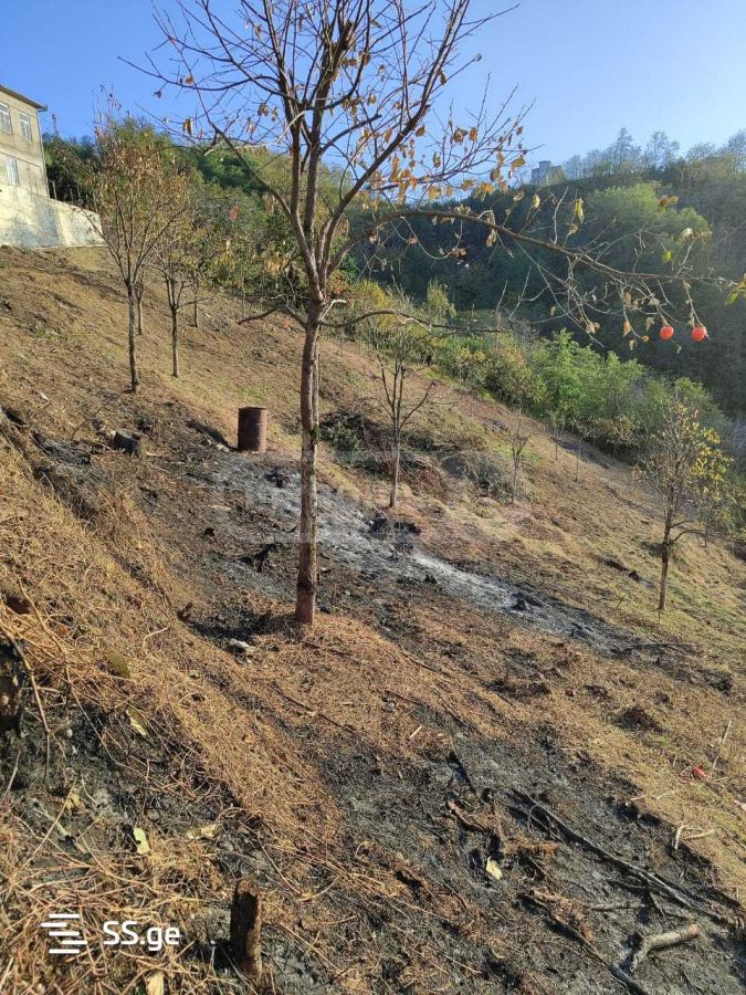For Sale Sasoplo-Sameurneo Land Plot In Batumi, 5 of 5