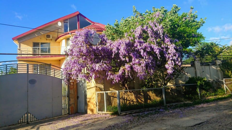 Daily Rent 8 Room Country House Mtskhetis Munitsipalitetshi view 2