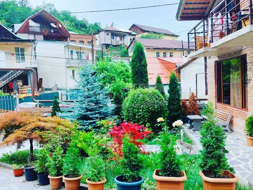 Посуточно 1-комната Sastumro Borjomshi view 9