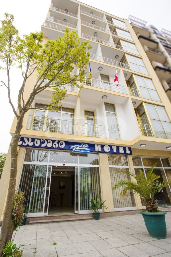 For Sale 10+ Room Sastumro Didubeshi view 2
