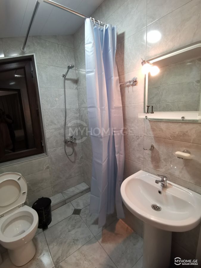 Daily Rent 3 Room Country House Bakurianshi, 9 of 12