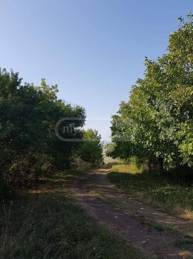 For Sale Sasoplo-Sameurneo Land Plot Dushetis Munitsipalitetshi view 3