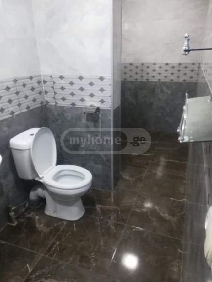 3 Room Private House Daily Rent In Zugdidi view 4