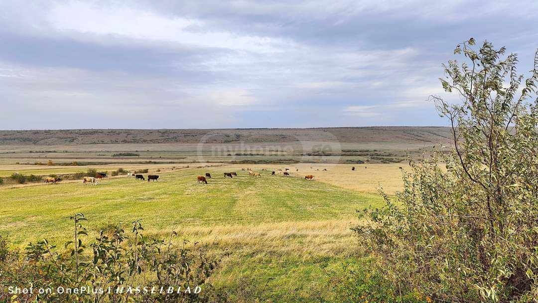 For Sale Sasoplo-Sameurneo Land Plot Gardabnis Munitsipalitetshi view 1