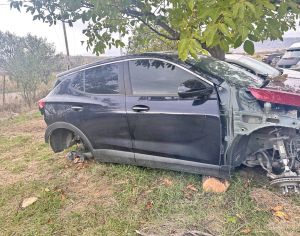 იშლება კასკი კავთისხევი