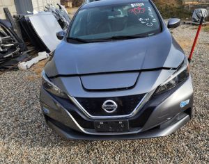 NISSAN Leaf 2018 0.1 - 1
