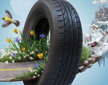 საბურავი