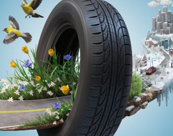 საბურავი