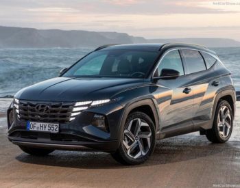 დაშლილი tucsoni