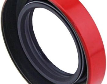 მორგვის ჩობალი( უკანა პოლვოსის სალნიკი)