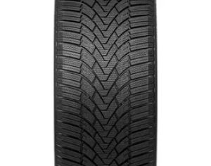 R20  255/35 ზამთარი