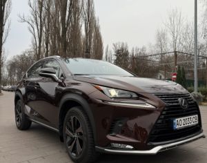 NX restailingi Hybridi მარცხენა საჭიანი მაქვს ყველაფერი