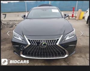 დაშლილები