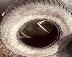 R16  265/70 ყველა სეზონი