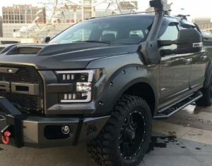 Ford F150 შნორკელი