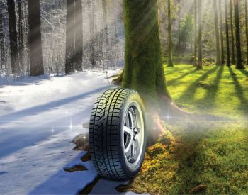 საბურავი