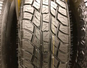 205/65R15  /KAPSEN	RW501/